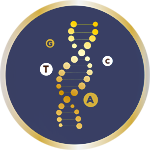 Whole Genome Sequencing (WGS) Imputation
